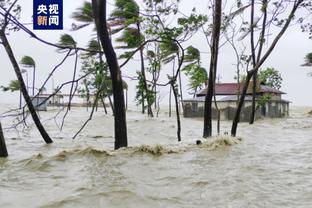 雷竞技rebet最新地址截图4